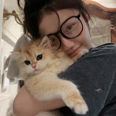 口碑好剧