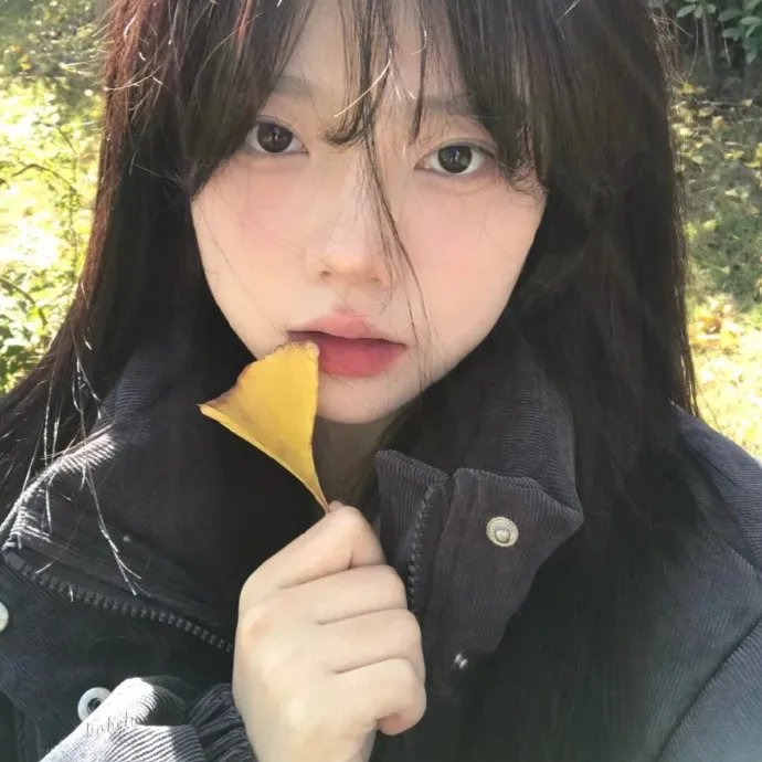 新灰姑娘